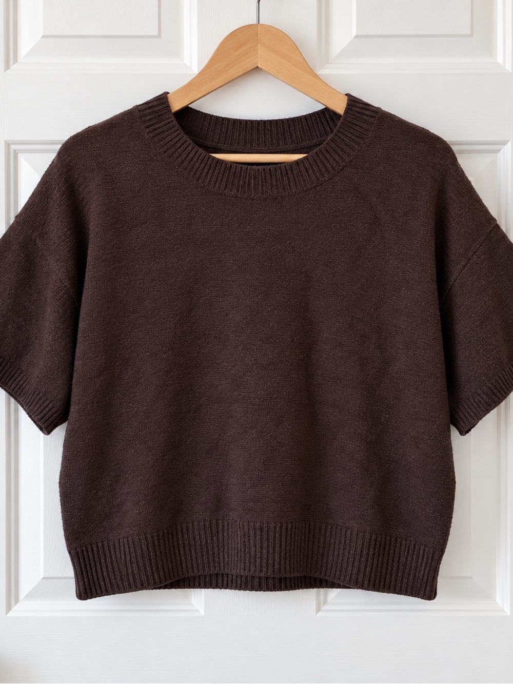 SHEIN Brown Short-Sleeve Crewneck Sweater